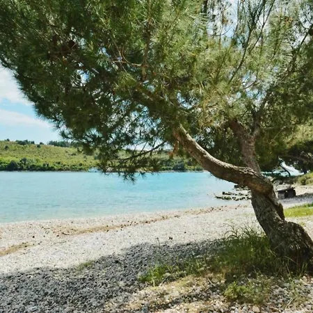 In Near Gortan Cove * Πούλα